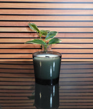 Load image into Gallery viewer, Mister Candle (2)