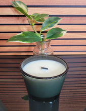 Load image into Gallery viewer, Mister Candle (2)