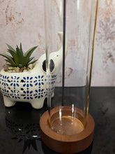 Load image into Gallery viewer, Agave Lime Incense
